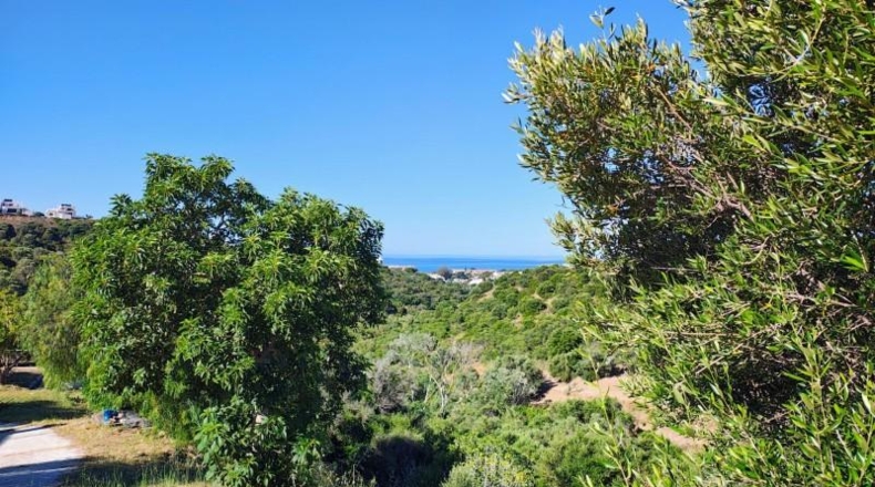 Málaga - Marbella - 28400m2