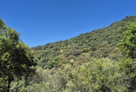 Atajate 30000&nbsp;m² 