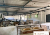 Finca rústica en venta en la España, Ronda, ref: TR261448 foto