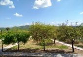 Vil·la amb terreny en venda a la España, Guarromán, ref.: TR411693 foto
