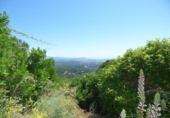 Sòl urbà en venda a la España, Palafolls, ref.: TR411692 foto