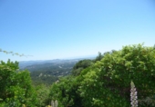 Sòl urbà en venda a la España, Palafolls, ref.: TR411692 foto