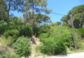 Sòl urbà en venda a la España, Palafolls, ref.: TR411692 foto