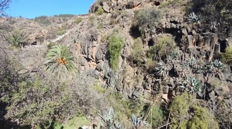 Santa Cruz de Tenerife - Granadilla de Abona - 3775m2
