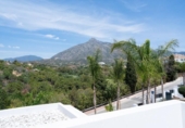 Xalet independent amb terreny en venda a la España, Marbella, ref.: TR147111 foto