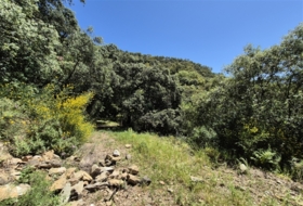 Atajate 30000&nbsp;m²