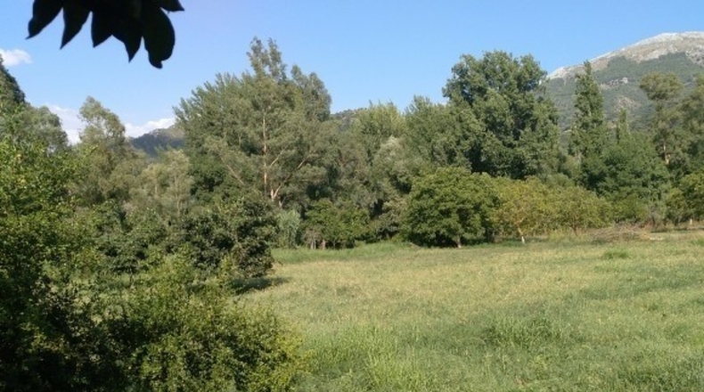Málaga - Cortes de la Frontera - 12000m2