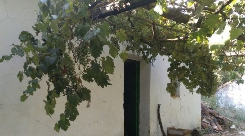 Málaga - Cortes de la Frontera - 12000m2