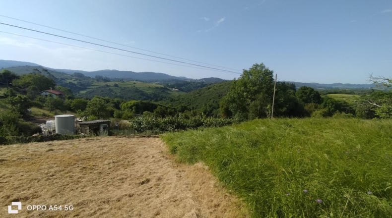 Asturias - Lazana - 1470m2