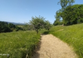 Land suitable for development for sale in Lazana ref: TR411698 photo