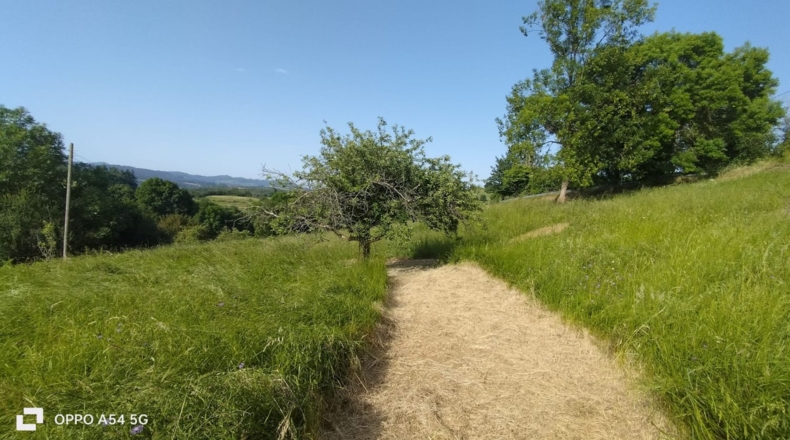 Asturias - Lazana - 1470m2