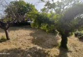 Land suitable for development for sale in Lazana ref: TR411698 photo