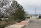 Rural estate for sale in Cabra del Camp ref: TR411711 photo