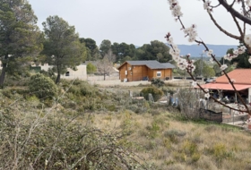 Foto 6
