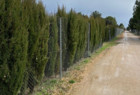 Albacete 5100&nbsp;m² 