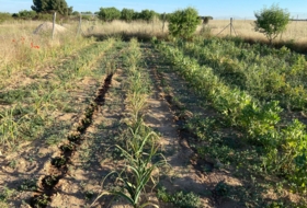 Albacete 5100&nbsp;m² 