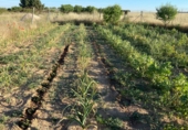 Terreno no urbanizable en venta en Albacete ref: TR411707 foto