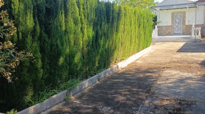 Jaén - La Guardia de Jaén - 1150m2