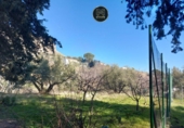 Xalet independent amb terreny en venda a Jaén ref.: TR411718 foto