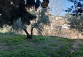 Xalet independent amb terreny en venda a Jaén ref.: TR411718 foto