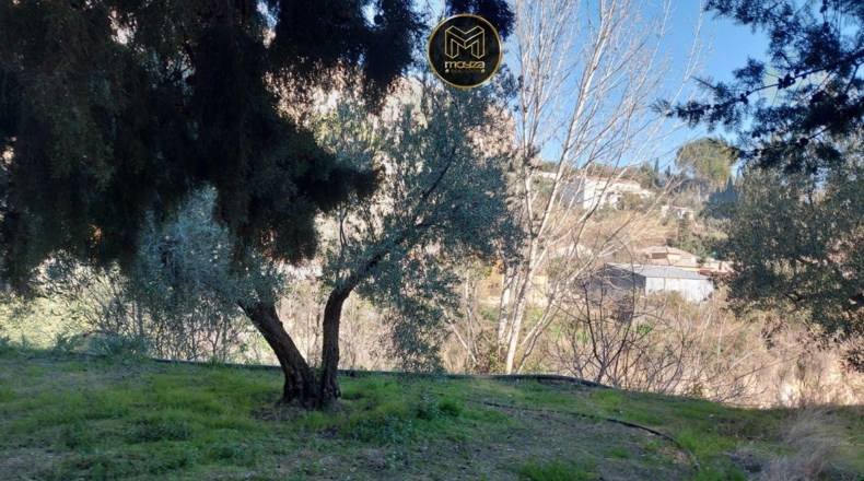 Jaén - Jaén - 7000m2