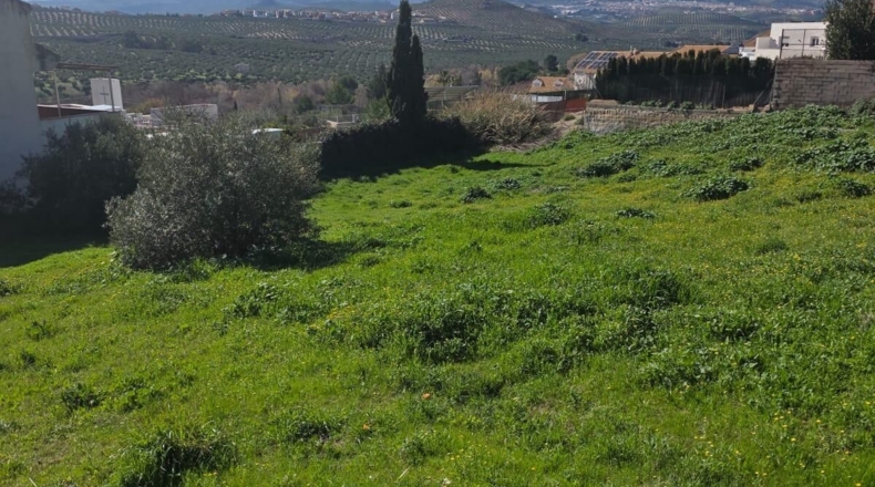 Jaén - Jaén - 600m2