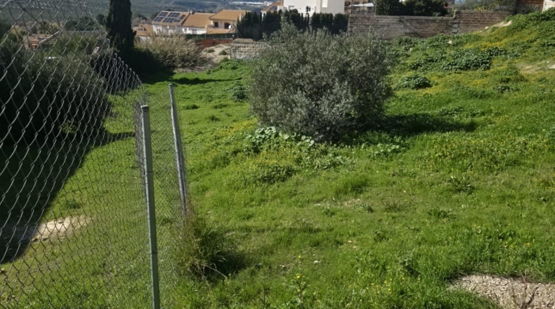 Jaén - Jaén - 600m2