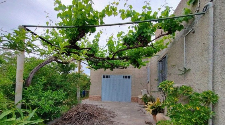 Castellón - Almassora - 1100m2