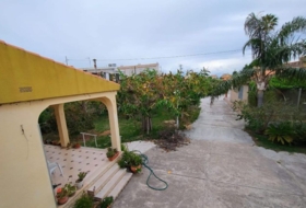 Almassora 1100&nbsp;m²