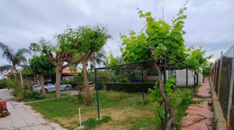 Castellón - Almassora - 1100m2