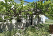 Detached villa with land for sale in Albacete ref: TR349146 photo