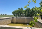 Detached villa with land for sale in Albacete ref: TR349146 photo