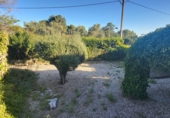 Отдельно стоящий дом с участком на продажу в городе Tortosa. Фото