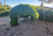 Отдельно стоящий дом с участком на продажу в городе Tortosa. Фото