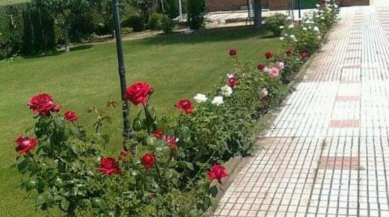 Salamanca - Carrascal de Barregas - 1200m2