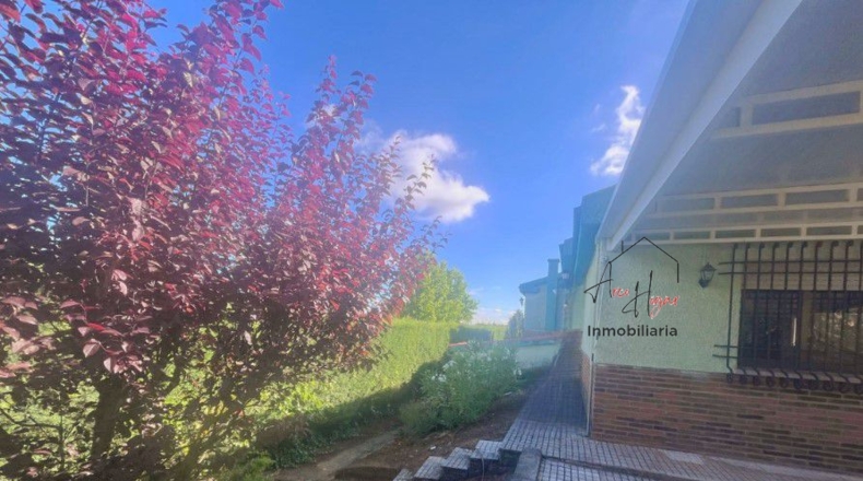 Salamanca - Carrascal de Barregas - 1200m2