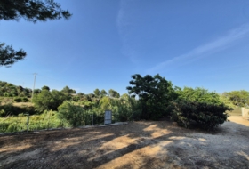 Oliva 1459&nbsp;m²