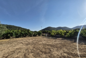 Oliva 1459&nbsp;m²