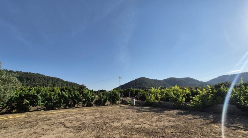 Valencia - Oliva - 1459m2