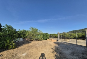 Oliva 1459&nbsp;m²