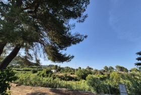 Oliva 1459&nbsp;m²