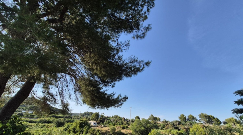 Valencia - Oliva - 1459m2