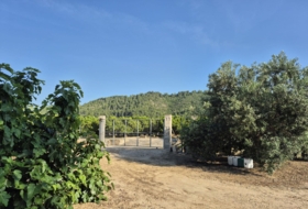 Oliva 1459&nbsp;m²