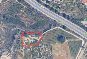 Oliva 1459&nbsp;m²