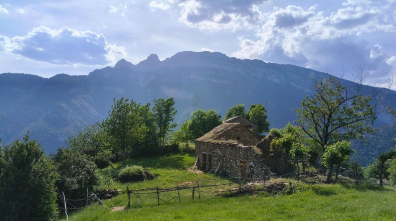 Huesca - Puértolas - 890m2