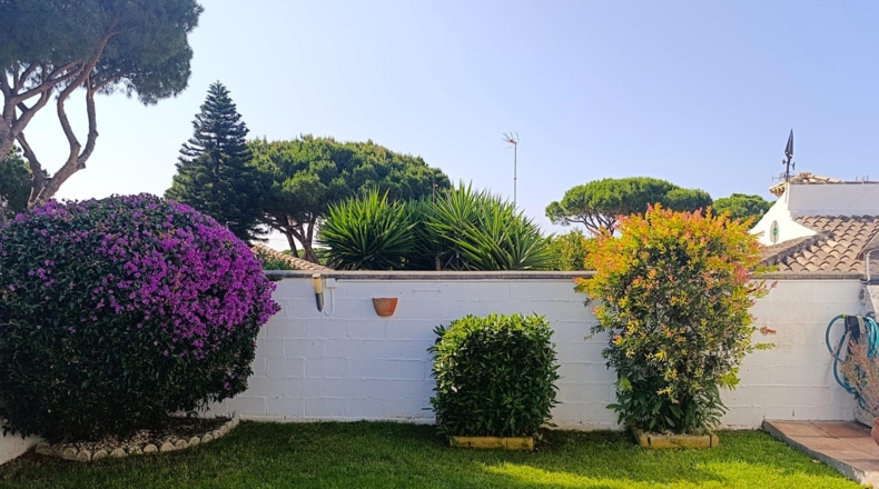 Cádiz - Чиклана-де-ла-Фронтера - 320m2