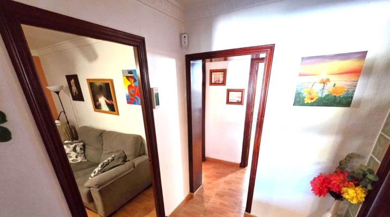 Cádiz - Чиклана-де-ла-Фронтера - 360m2