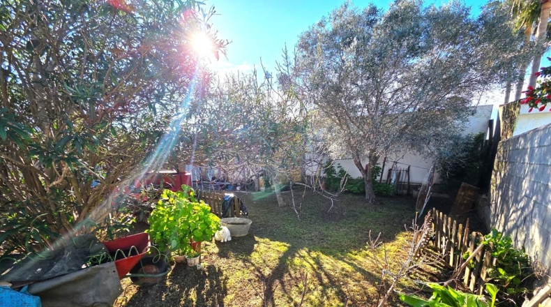 Cádiz - Chiclana de la Frontera - 502m2