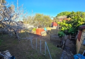 Xalet independent amb terreny en venda a Chiclana de la Frontera ref.: TR389612 foto