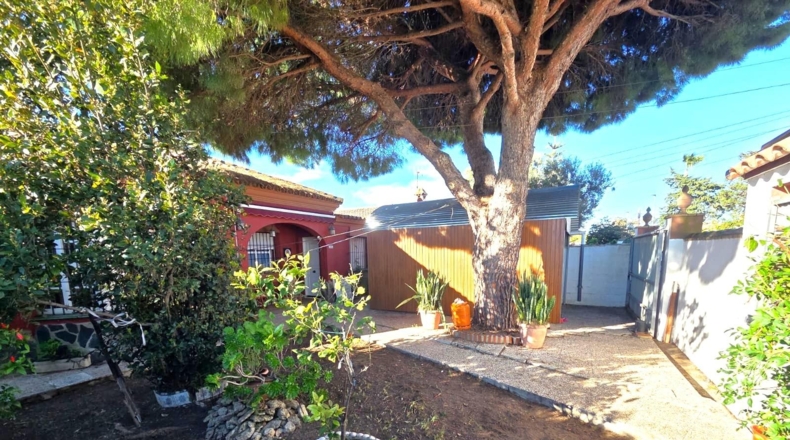 Cádiz - Chiclana de la Frontera - 502m2